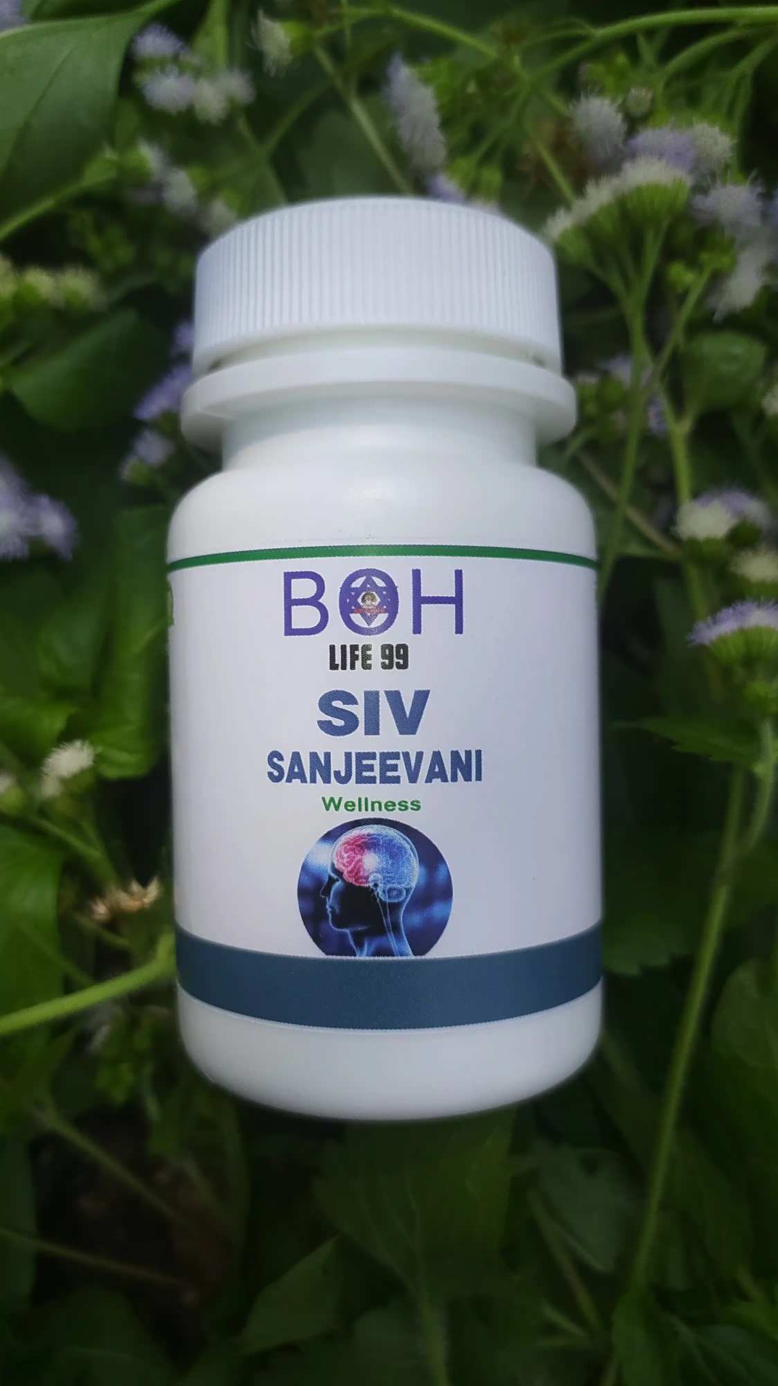 Siv Sanjeevani